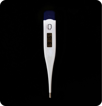 DIGITAL THERMOMETER